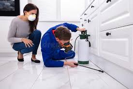 Real Estate Pest Inspections in Cleveland, GA